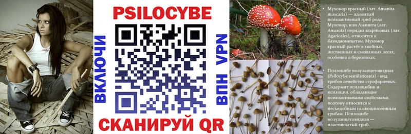 купить  цена  кракен рабочий сайт  Псилоцибиновые грибы прущие грибы  Всеволожск 